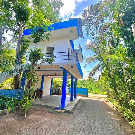 Jungle Fence Bed & Breakfast Bentota Exterior photo