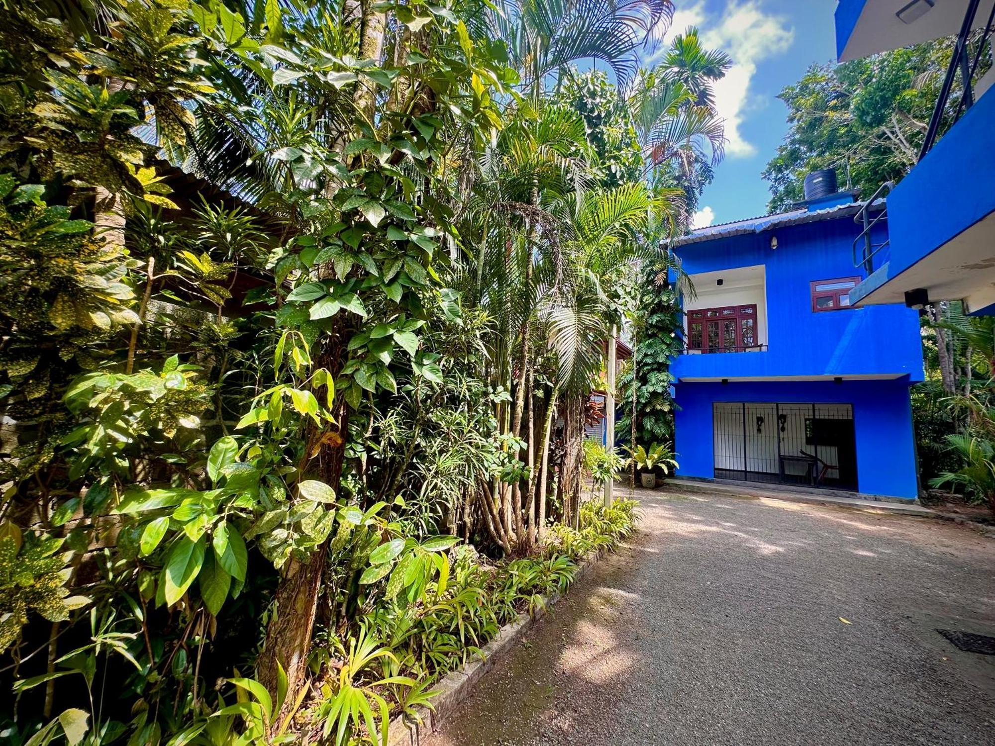 Jungle Fence Bed & Breakfast Bentota Exterior photo